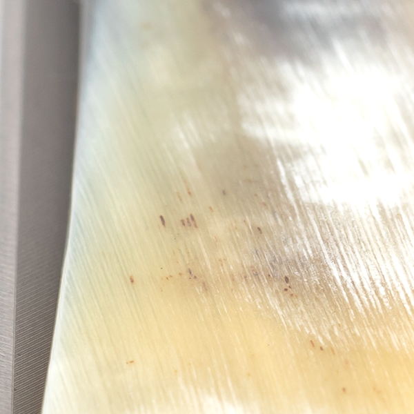 Rasoir droits 6/8" carbon | Bergischer Löwe Corne de buffle